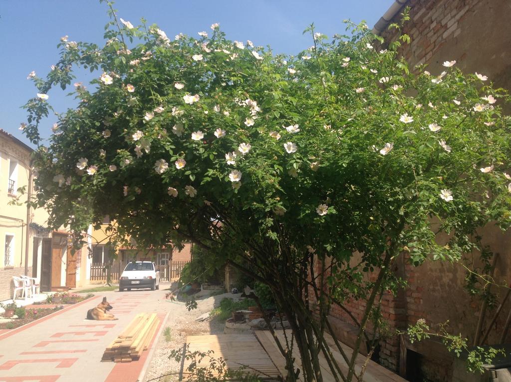 B&B Ciliegio Felice Molinella Exterior photo